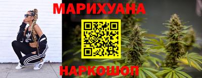 прущие грибы Заводоуковск